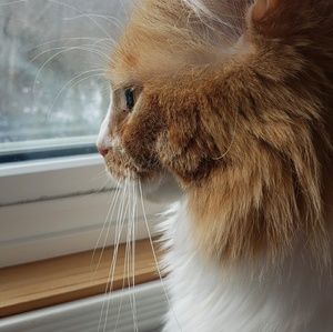 Meet your Posher, Jane